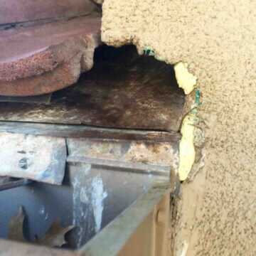 Rat Exterminator Omega Animal Control Content9
