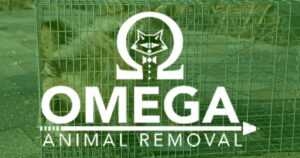 Omega Animal Removal Wildlife Control Featured