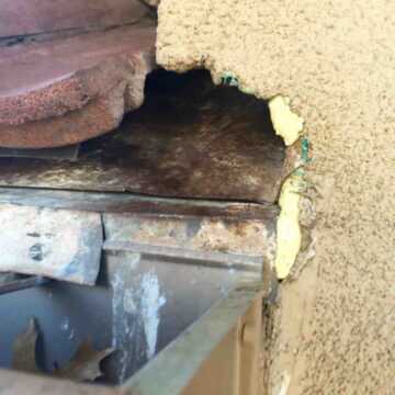Rat Exterminator Omega Animal Control Content9
